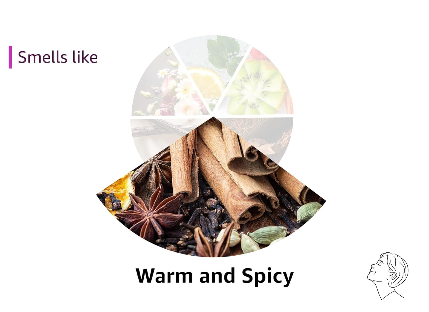 Choco Musk Men/Women Cologne Eau De Parfume Vaporisateur Natural Spray Perfume for Men/Women Notes Of White Musk, Milk Chocolate and Vanilla - 1.65 Fl Oz (1 Pack)