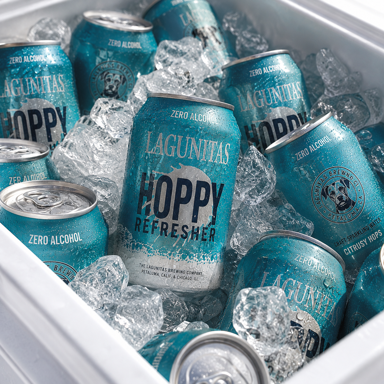 Lagunitas Hoppy Refresher Non-Alcoholic Hop Water Drink - 12oz Cans